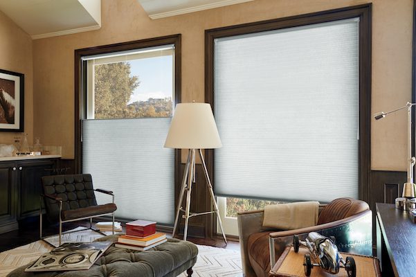 living room with dark trim windows and white shades