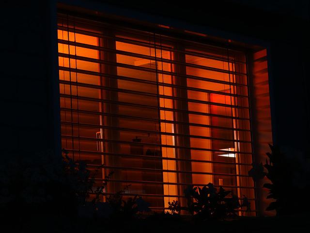 home window with blinds